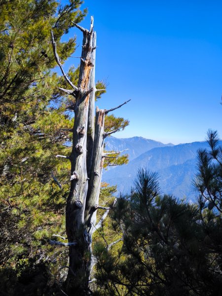 2026-02-09 庫哈諾辛山2998947