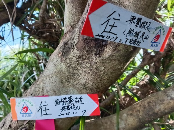 基隆市/萬里區界寮縱走之三界山+三界山西峰+開眼尖山+七分寮山+瑪七產道山泉水接水亭2979552