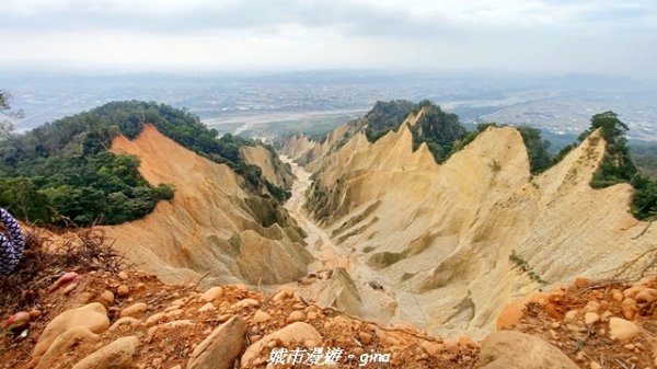 【苗栗三義】台灣百大必訪步道。 火炎山、南鞍古道O繞x火炎山下花海2954168