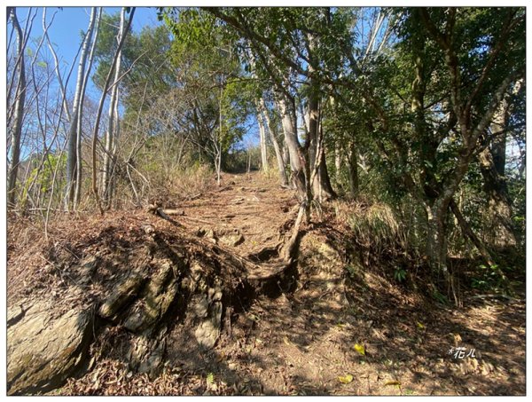 獵人古道、望美山、瓊山 連走3011771