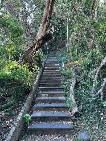 和美山螢火蟲段2873329