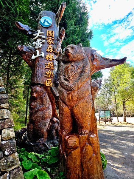 大雪山森林遊樂區賞楓2966047