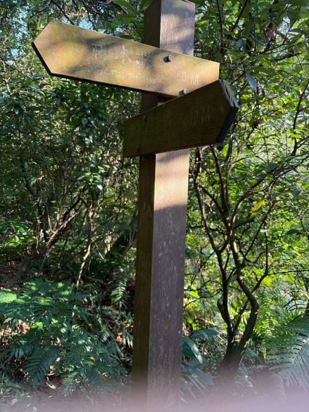 新北 林口 森林步道3015281