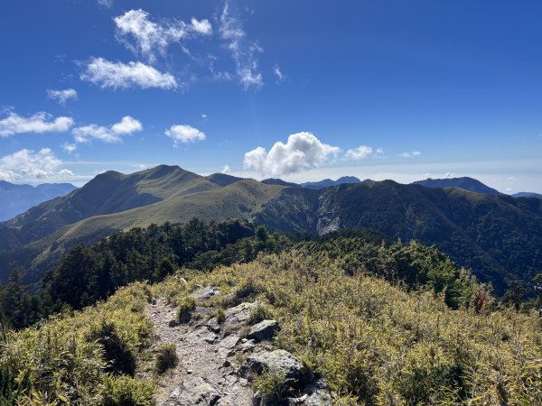 雪山西稜 2023_1105(D4B) 奇峻山2341915