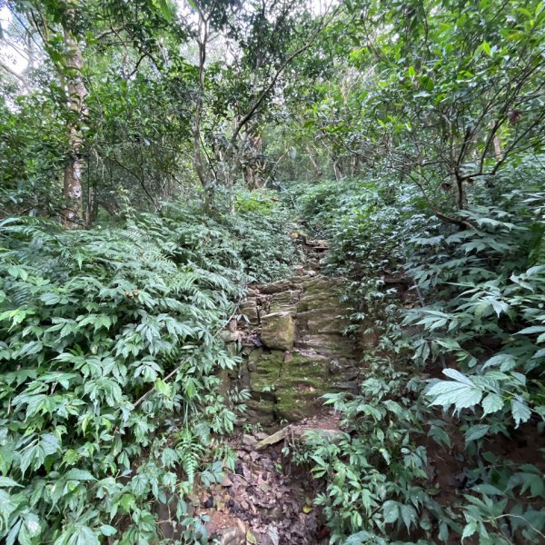 20251130_棚集山+斜坡上藝術節（屏東小百岳）2968607