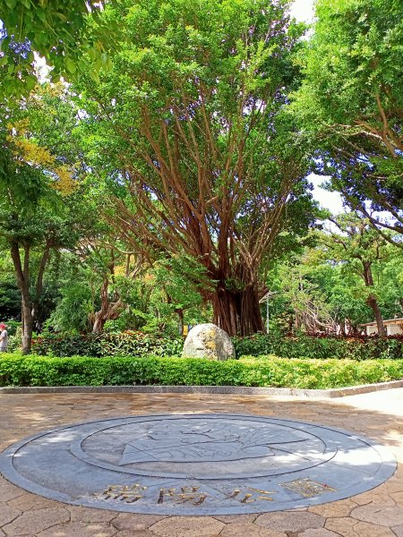 奇花異草的內湖文德三號公園、瑞陽公園【走路趣尋寶，全臺齊步走】1864180