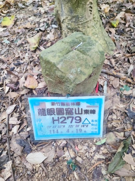 飛沙龍逆走2988863