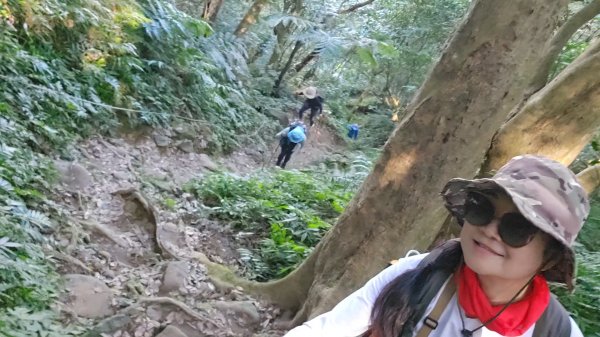 20251216太平山石門山小粗坑山O型+蕃薯藤TINA廚房2972563