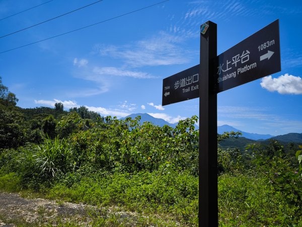 2024-08-22 澀水森林步道2578468