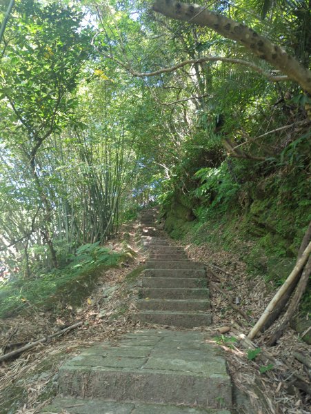 2025.10.10－微笑山線：【二格山系】皇帝殿稜線2919505