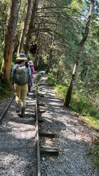 太平山運材軌道見晴線2588827