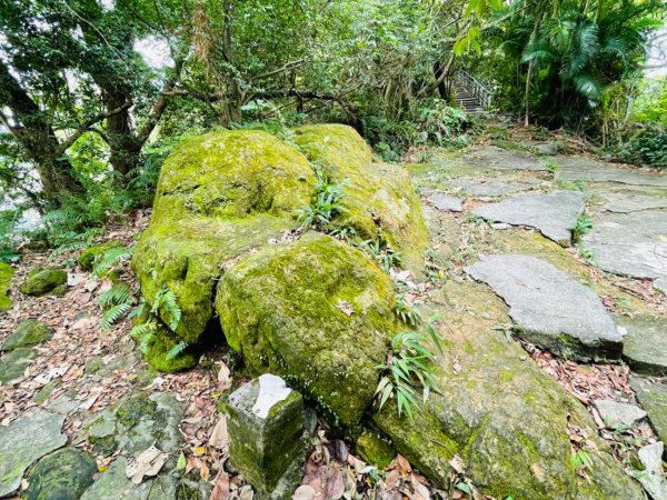 1110906。1001。1105景美山｜仙跡岩步道1834791