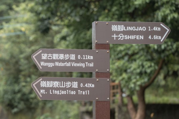 2026微笑山線：【五分山系】望古瀑布段3092131
