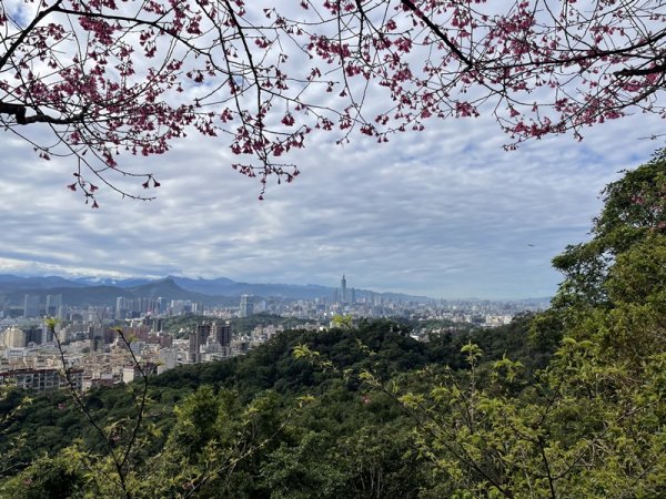 大湖翠湖金龍湖2711895