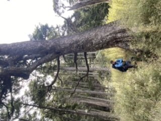 雪山西稜夢幻大景1392707