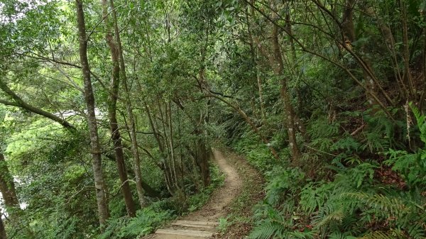 紫微環山步道2100167