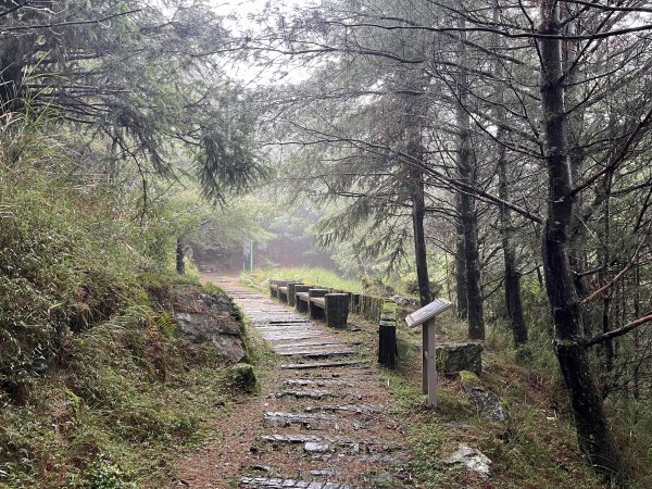 [玉山尋寶任務-02/12] 2025_0727 中之關、天池步道/南橫公路2847627