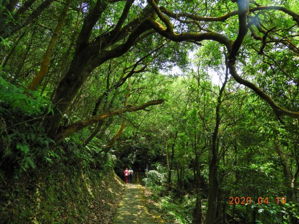 臺北 內湖 龍船岩、開眼山924797