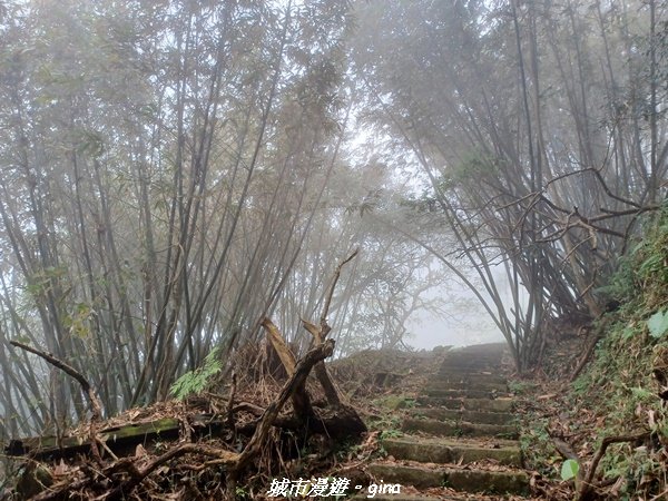 【台南。 楠西】滿滿的雲海太驚豔。 小百岳集起來。 編號67小百岳~竹子尖山步道1605878
