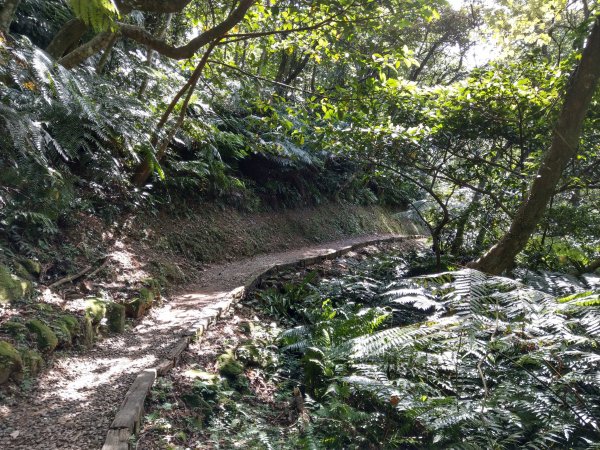 銀河洞順登鵝角格山&三玄宮山728629