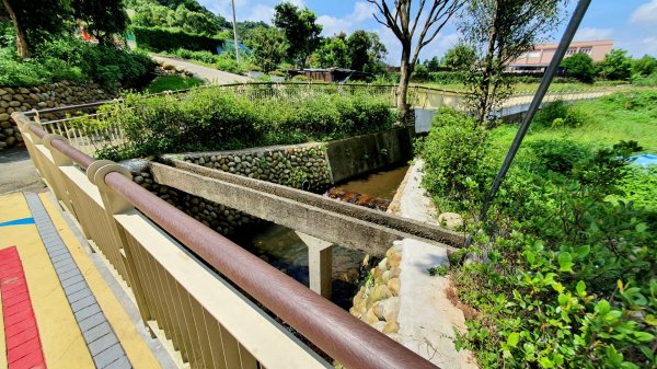 桃園東眼山，親子峰，尾寮崎古道，小角仔古道，街口溪步道，三峽阿屘尖，神木尖，牛角尖，牛角坑山1757463