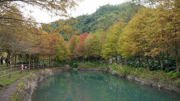 三層坪農塘教育園區登山健行趣1549028