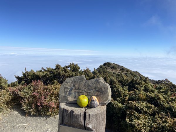 南湖中央尖-------北一段2868239