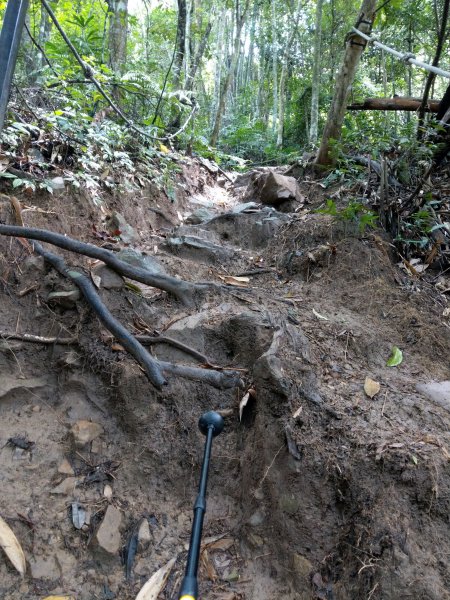 1090828谷關七雄之白毛山1083790