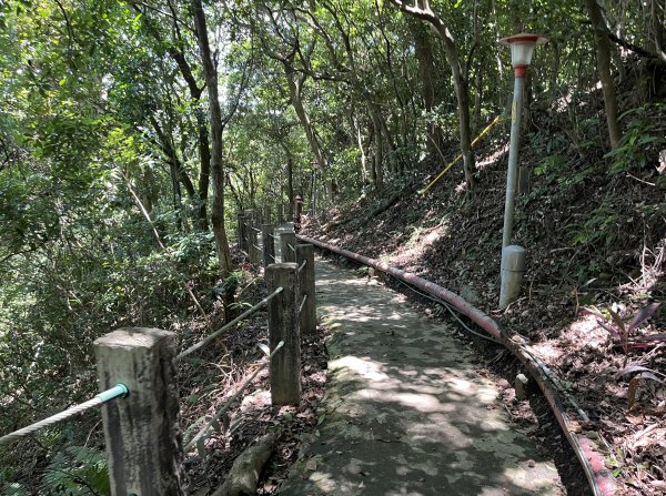 [跟著2025雙北世壯運探索雙北市-7/21] 2025_0615 疾風足球道（輔仁大學－明志路二段2814985