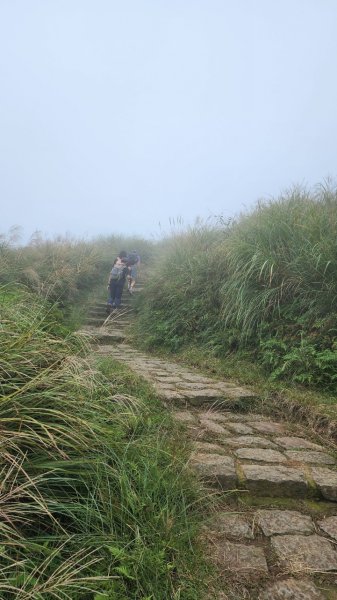 20231014 陽明山東西大縱走十連峰2312769