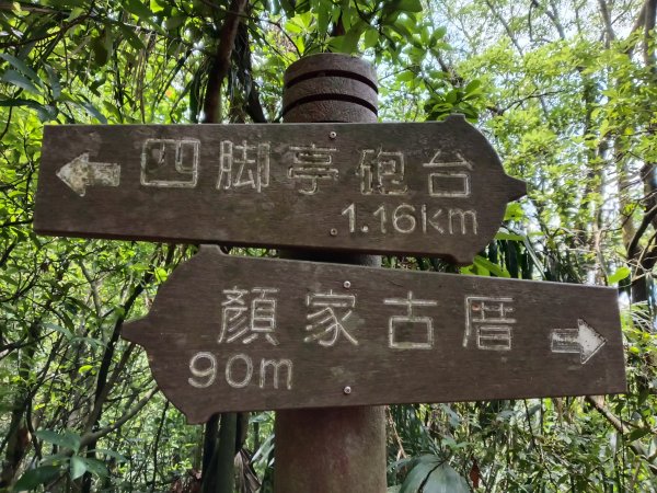 瑞芳區過港山+四腳亭砲台+深奧砲台山P字走2803752