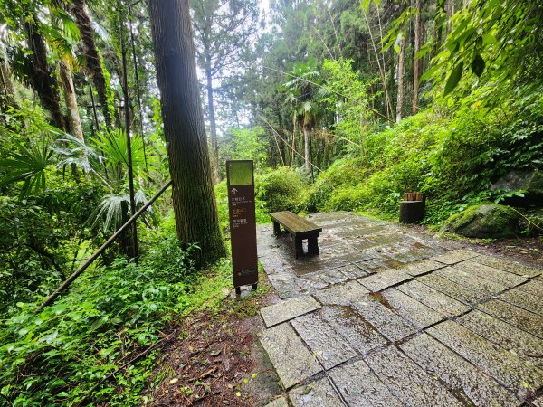 20250719頂湖上大凍山2907147