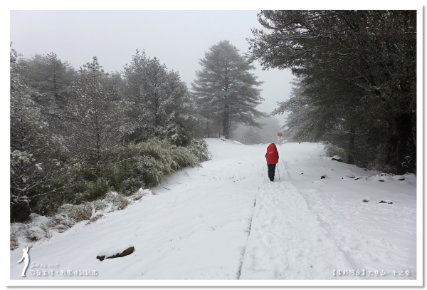 大雪山。雪世界29045