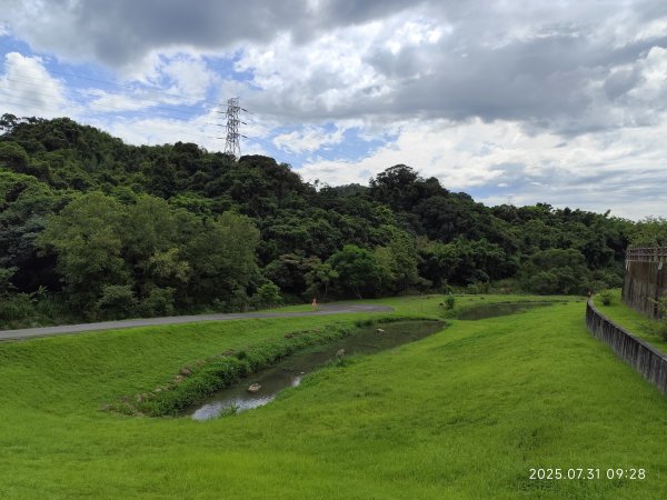 大湖公園→大溝溪生態治水園區→圓覺寺步道→圓覺瀑布→圓覺寺→鯉魚山步道【臺北大縱走 4、臺北健走趣】2849084