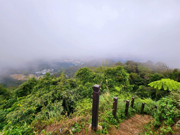 小百岳集起來-天上山2181131