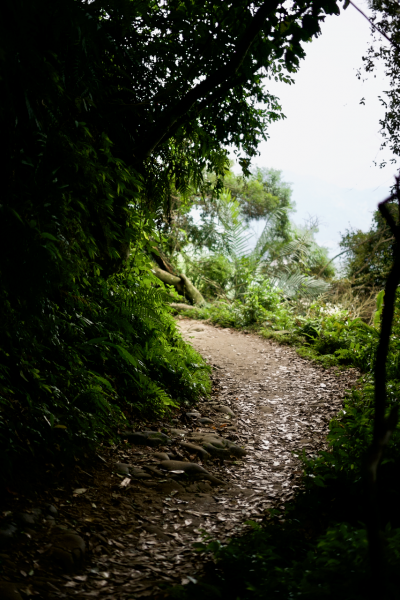 石門山、小粗坑、太元步道942715