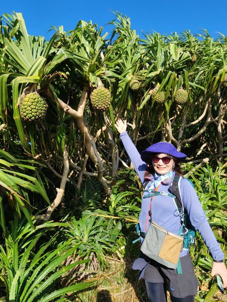 114/1/4國境之南：恆春大縱走2687264