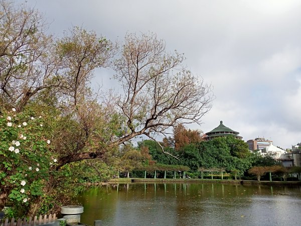 【南山神壽任務尋寶趣】徜徉台北植物園步道1575633