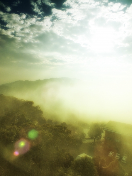 苗栗--薑麻園步道7482