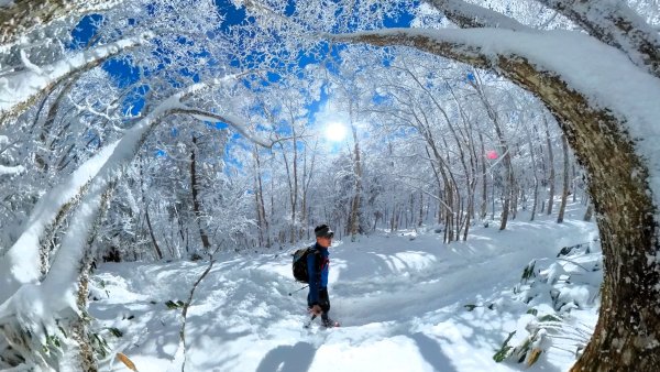 超綺麗夢幻的粉雪奇緣山行記在日本名古屋南沢山2781210
