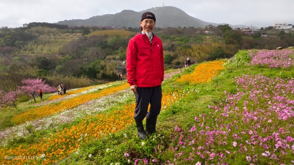 #平菁街 #鵝尾山梯田 #廣佑聖王廟 #寒櫻巷 #夕陽 1/24&252987024