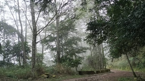 20251010 大雪山國家森林遊樂區 - 船型山林道 登 烏石坑山2911052
