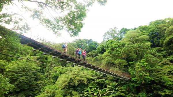 【淡蘭中路】深山中的綠翡翠970698