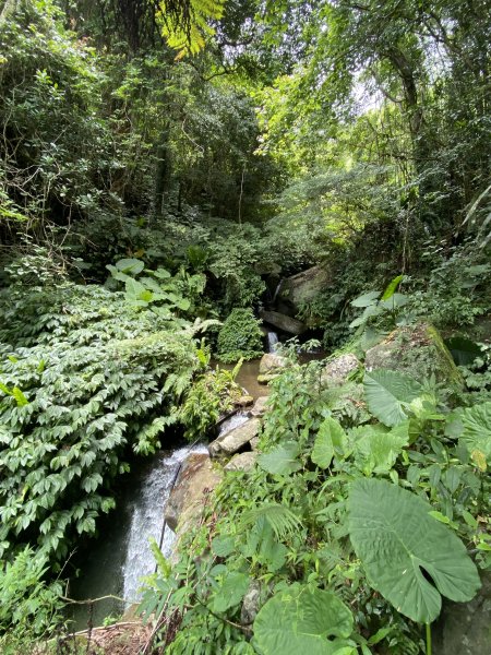 20250705-Ep.02白蘭溪古道-2025森遊竹縣皮皮獅探險隊2851392