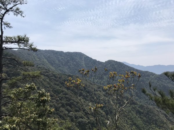 鳶嘴山929354
