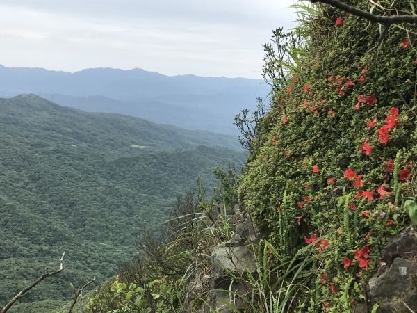 登燦光寮山環走貂山古道131436