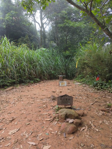 2025.07.13－漫步於森林中：鵝公髻山2835451