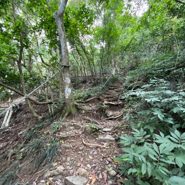 20251130_棚集山+斜坡上藝術節（屏東小百岳）2968605