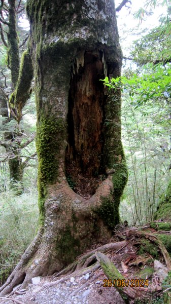 【單攻奇萊北峰】 完美的高山訓練場域 ！2541908