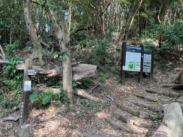 環七星山人車分道2121310